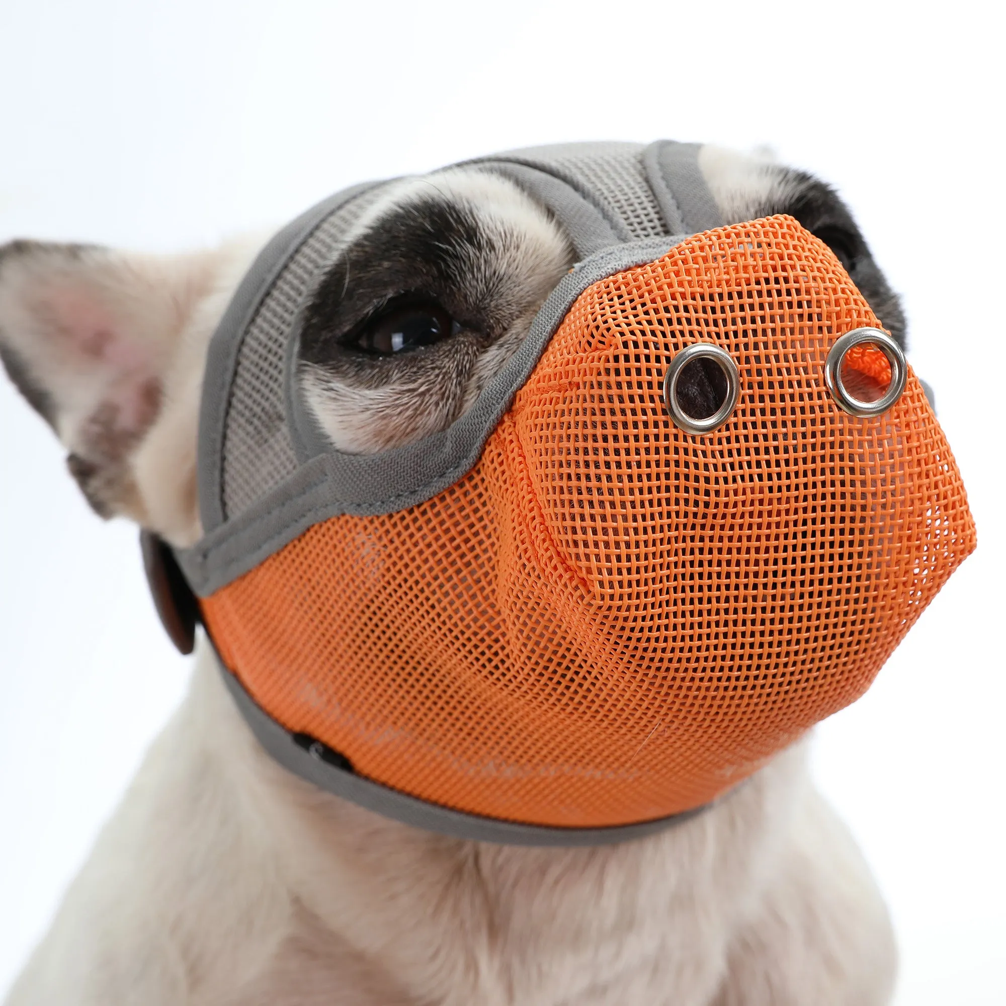 Premium Adjustable Frenchie Muzzle - Mouth Cover for Enhanced Safety